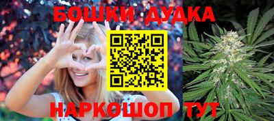 apvp Обь