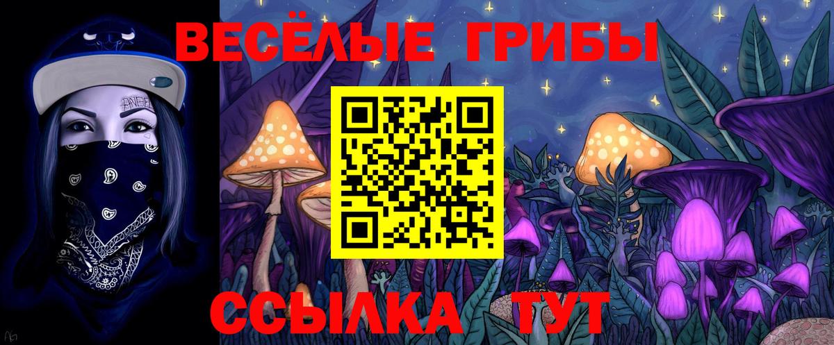 Псилоцибиновые грибы MAGIC MUSHROOMS  Вход с VPN  Вологда  Псилоцибиновые грибы прущие грибы 